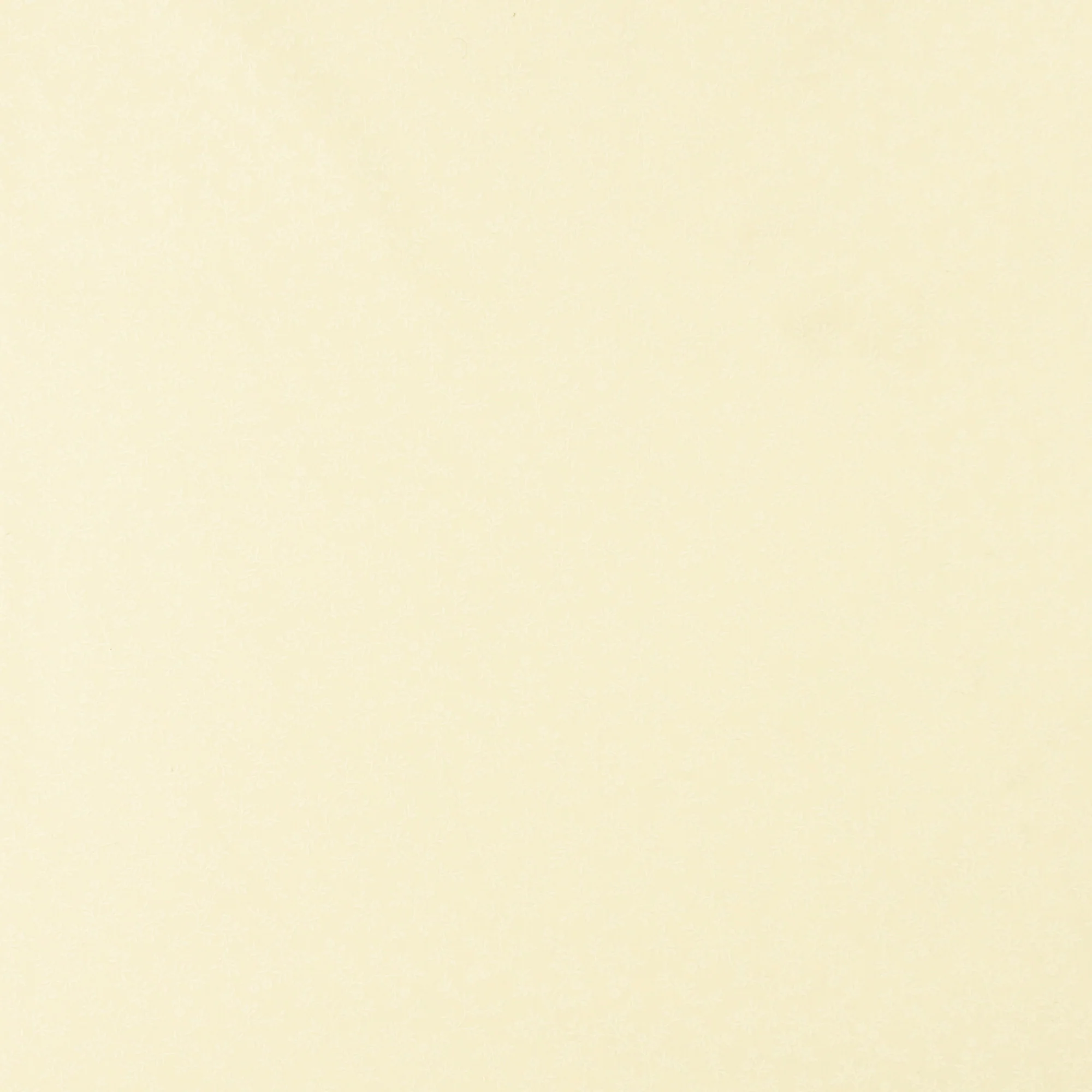 Wide-width printed fabric - MONOTONE - 042 - Ivory