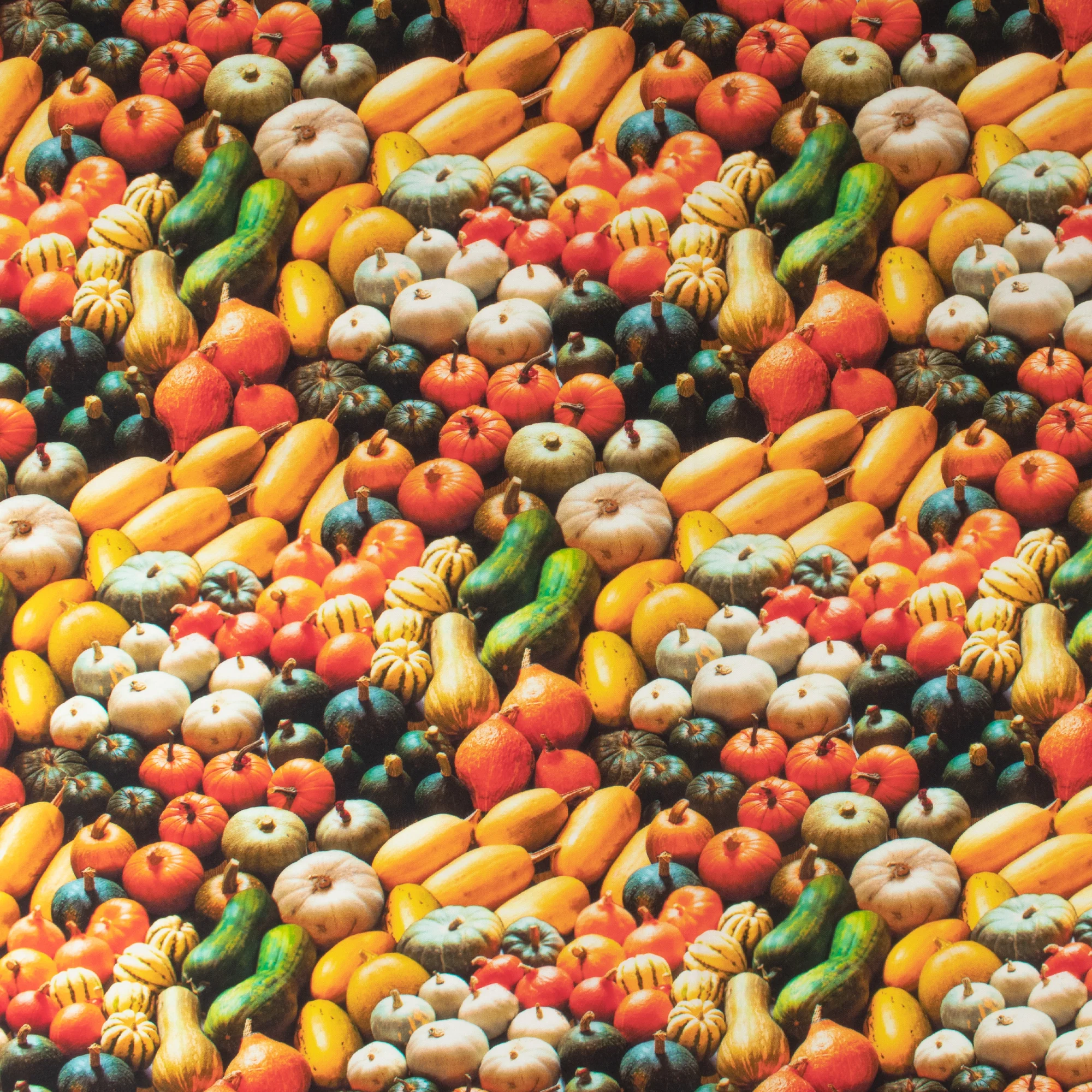 Windham Fabrics - Printed Cotton - ESSENTIALS - 023 - Pumpkin