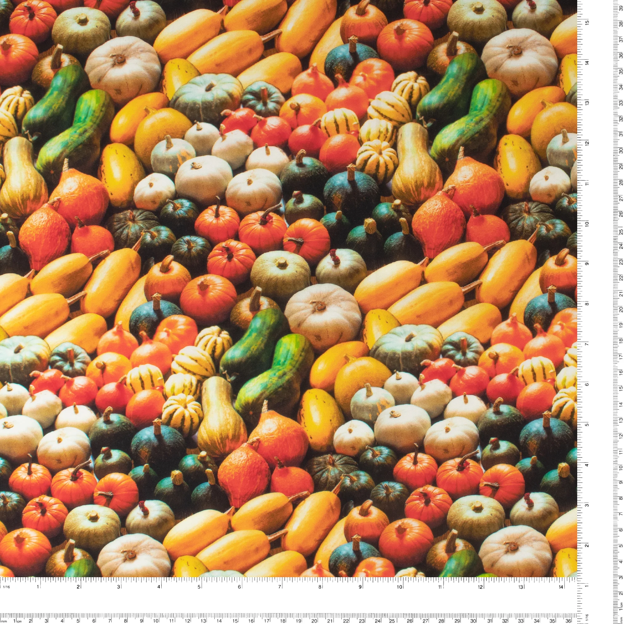 Windham Fabrics - Printed Cotton - ESSENTIALS - 023 - Pumpkin - Image 3