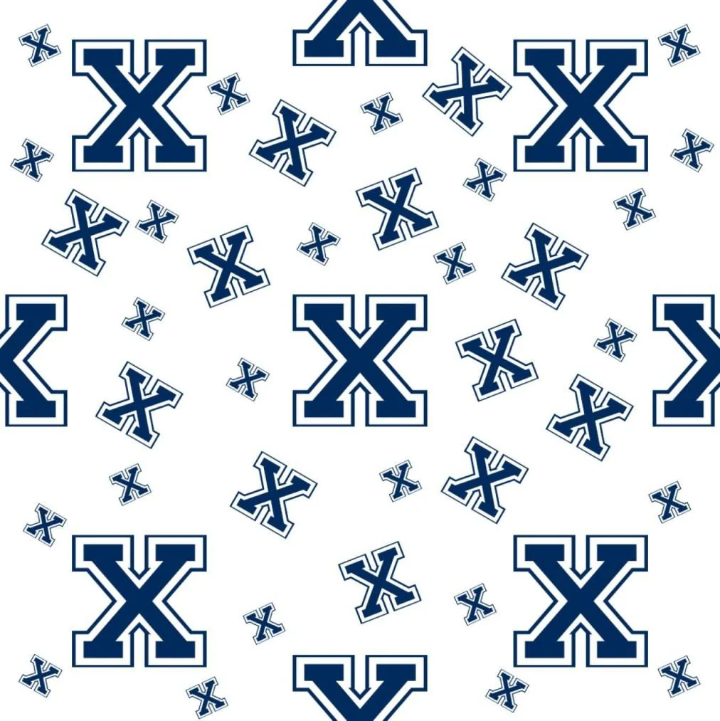 X fabric